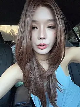 BBi-0329 Show Webcam