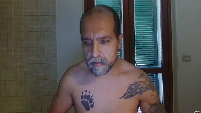AMIRDIB2025 Show Webcam