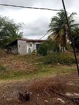 Webkamerová show ___novinha21anos_____
