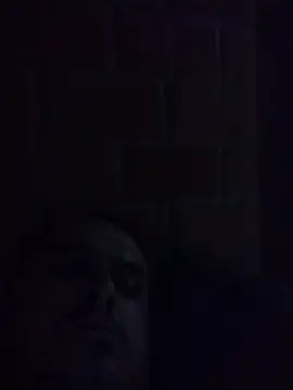 Show modela cimental na web-kameri
