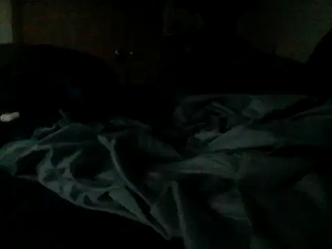 Show webcam de Silencio26