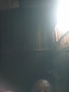 WiseDi's Live XXX Chat