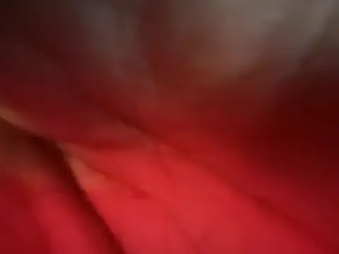 Živý XXX chat SeductressesTS