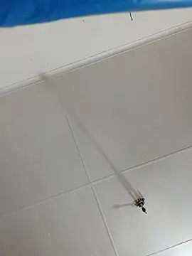 VirginPrincess06 现场XXX聊天