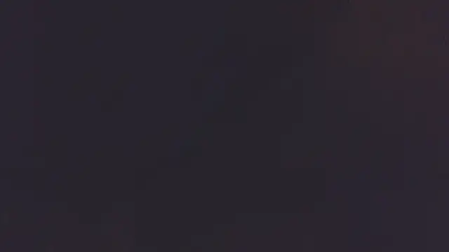 0SEANX XXX чат на живо