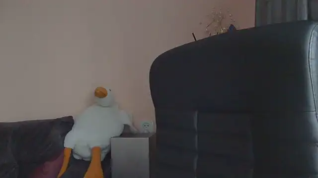 Živý XXX chat Medjik_lool