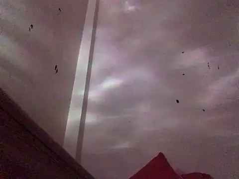 Thichchoitran86 Show Webcam