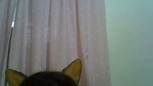 Show de webcam de SkinnyKitten