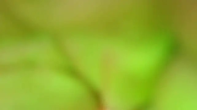 Masters_sexxのライブXXXチャット