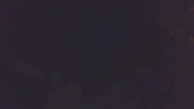 دردشة 0SEANX الجنسية المباشرة