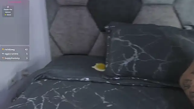 Chat XXX en directo de Cloy_Areo