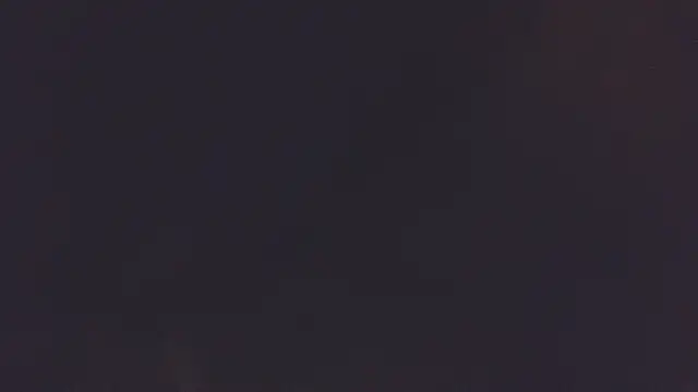 0SEANX's Live XXX Chat