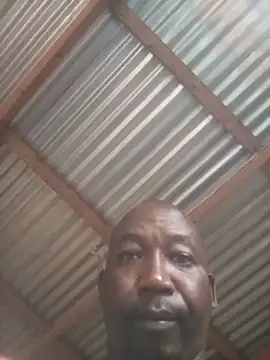 Chat XXX Live WiseDi