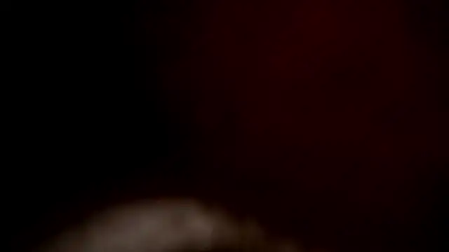 stephany_doll_ 라이브 XXX 채팅