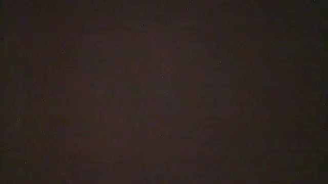 Nylon-Bitch Webcam-Show