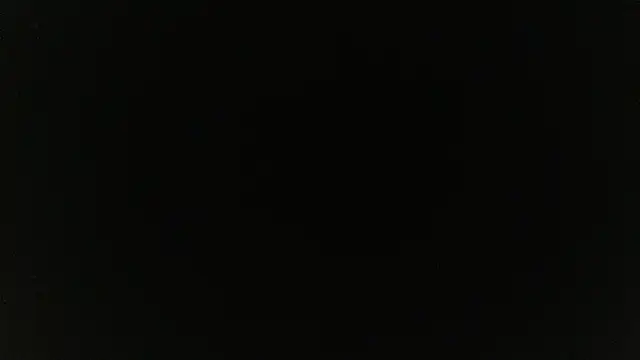 alex_blu লাইভ XXX চ্যাট