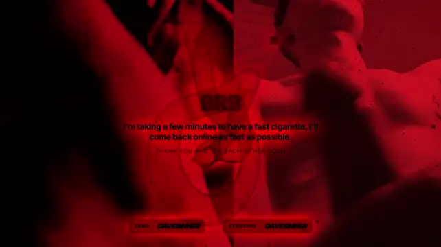 davesinner Live XXX-Chat