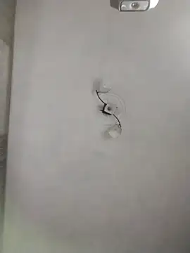 EvaCristaln Live XXX chat