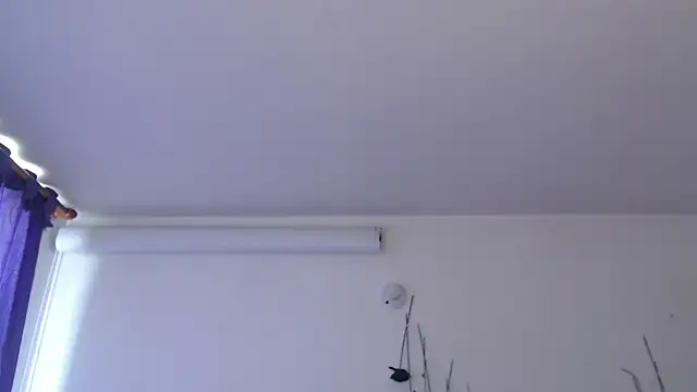 SLOPPYTITSS Live XXX Chat