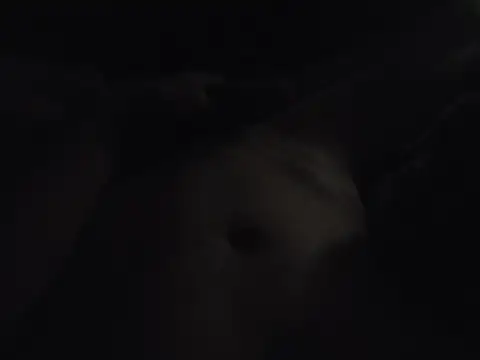 drewbigd253 Webcam-Show