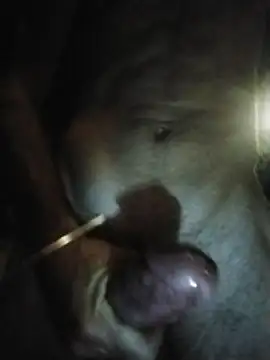palomo41 Live XXX-Chat