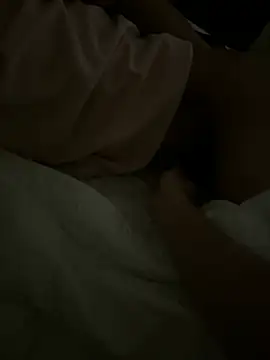 jdla 网络视讯表演