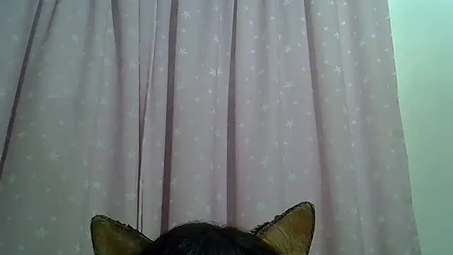 Show de webcam de SkinnyKitten