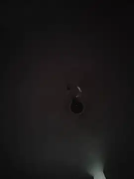 honbok Pertunjukan Webcam