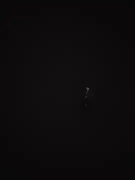 honbokn Webbikameraesitys