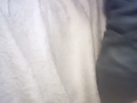 pietje1991 Webcam Show