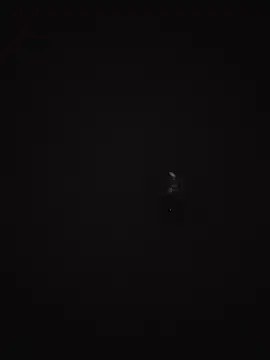 honbok 网络视讯表演