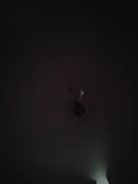 عرض كام honbok