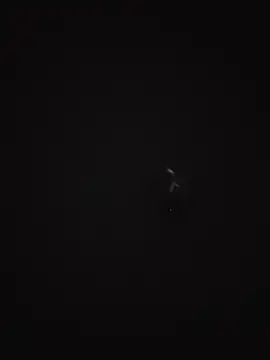 honbokn Webbikameraesitys