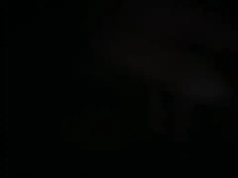 MasterInstar Webcam-Show
