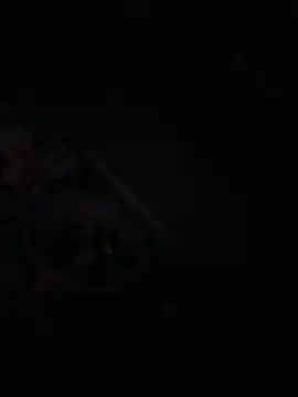 Lhaninww's Webcam Show