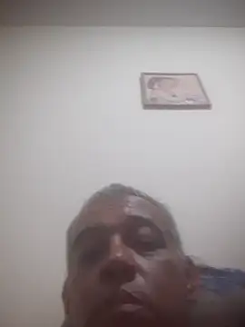 Show de webcam de doidopradar