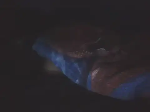 Chat XXX Live SHARPSkinhead