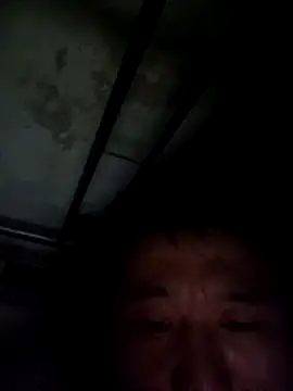 wadmma 网络视讯表演