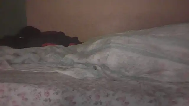 joaopimto0 Obrolan Langsung XXX