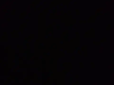 idodpalace webcam show