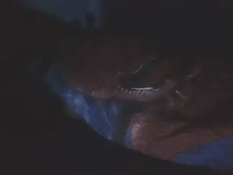 SHARPSkinhead's Live XXX Chat