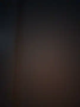 Caleb-Sweats élő XXX-chatje