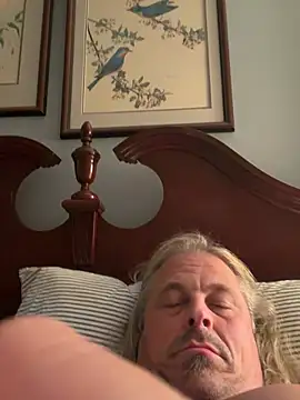 zeus337 Chat XXX in diretta