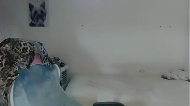 Chatroom XXX en direct de FUNNY_DICK_