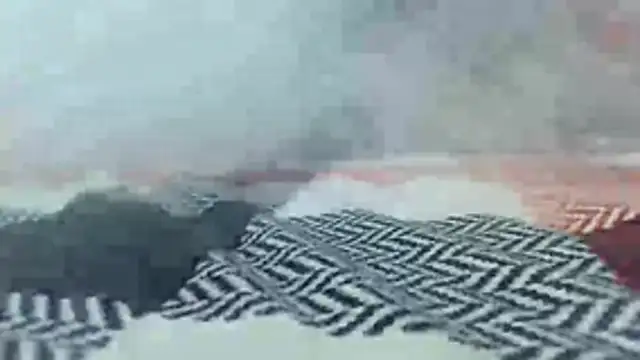 Chat XXX en directo de party51502
