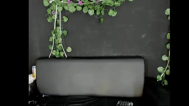 sweet_rose72 라이브 XXX 채팅