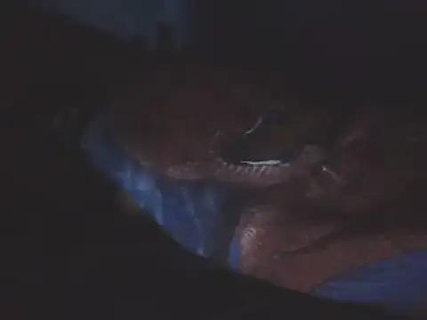 SHARPSkinhead 라이브 XXX 채팅