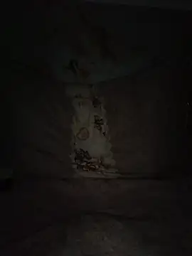 BulletactのライブXXXチャット