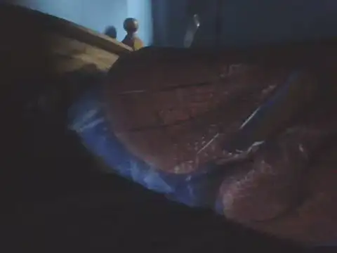 SHARPSkinhead live XXX chat