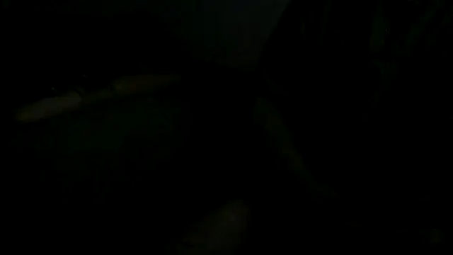 Show de CABECUDOCTBAPRBRA na webcam